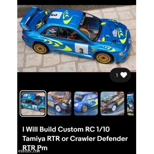 Custom RC 1/10 Tamiya RTR Pm